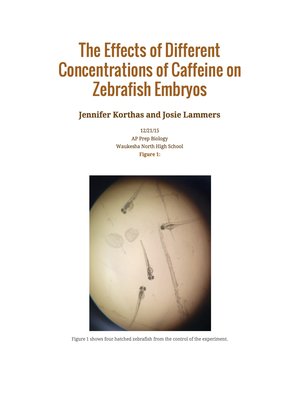 cover image of The Effects of Different Concentrations of Caffeine on Zebrafish Embryos